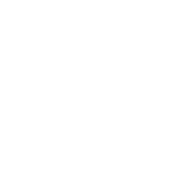 花うさぎの顔