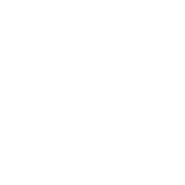 ブラキオS